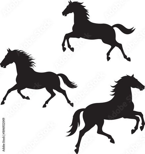 silhouette of a horse ,horse silhouette vector ,horse, animal, silhouette, farm, illustration, running, stallion, horses, art, sport, tail, race, outline, equine, nature, vector, black, animals, mamma