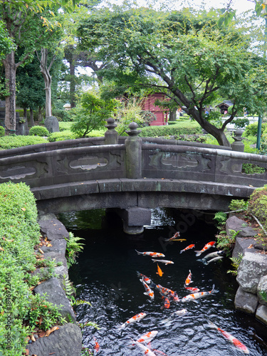 japanese garden bridge