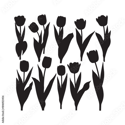 Tulip Silhouettes Collection,Tulips Silhouettes,Vector Tulip Flowers,Spring Bloom Shapes,tulip vector