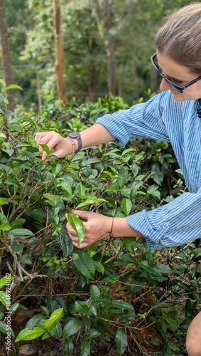 Pure sustainable real relaxing woman enjoying green tea plantation Sri Lanka Ceylon agriculture hillside farm rural mountain greenery scenic solo walk female nature