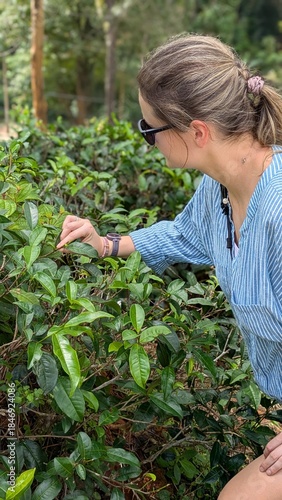 Pure sustainable real relaxing woman enjoying green tea plantation Sri Lanka Ceylon agriculture hillside farm rural mountain greenery scenic solo walk female nature