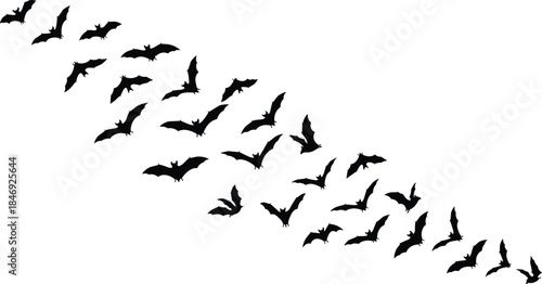 Black bat silhouettes flying in a flock isolated on white background for spooky Halloween night decoration and scary horror concepts