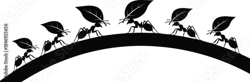 Black silhouette illustration of a row of ants marching and carrying leaves on a curved path isolated on white background.