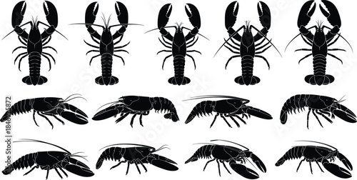 Lobster silhouettes collection showing crustacean anatomy from top and side views isolated on white background for seafood and marine design
