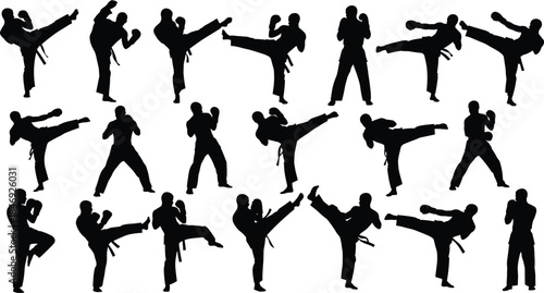 Set of martial arts fighter silhouettes showing karate and taekwondo kicking, punching, and combat stances isolated on white background