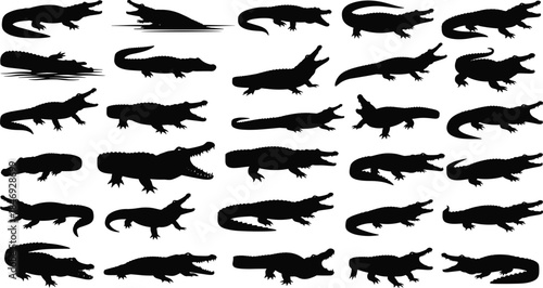 crocodile, alligator, reptile, silhouette, walking, swimming, lying, open, mouth, black, white, icon, illustration, vector, design, symbol, wildlife, nature, predator, animal