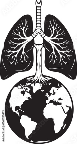 x ray of human brain