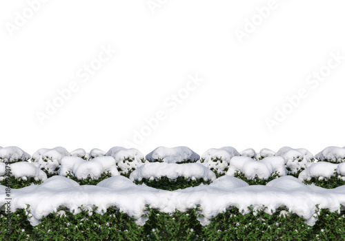 Snow covered bushes winter scene garden cutout design element