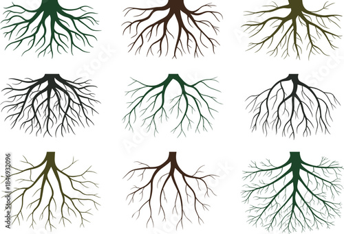 Vector root system silhouettes, nine botanical root designs, plant root illustrations, natural branching patterns, underground structures, organic root shapes, black root icons