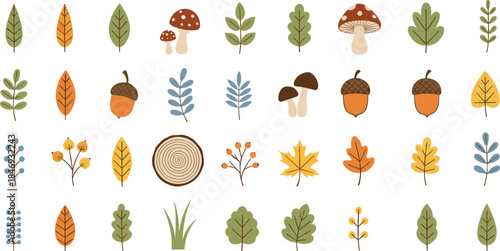 Vector Set of Decorative Autumn and Fall Foliage and Nature Elements; Collection of Leaves, Acorns, Mushrooms, Berries, and Tree Stump.