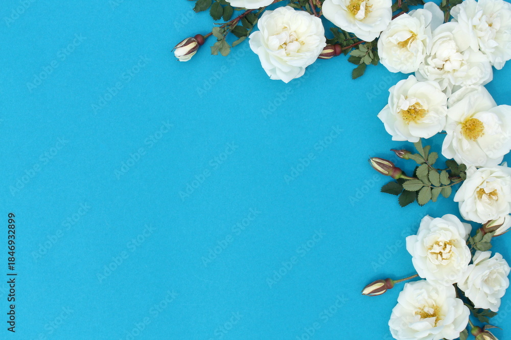 image to crop