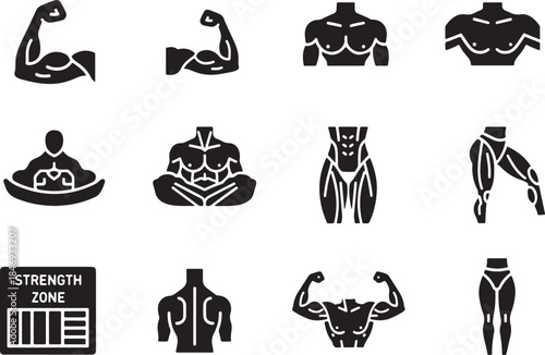 Black vector icons set illustrating human muscular anatomy, body parts, fitness, strength training, and physique, including biceps, chest, back, torso, legs, and muscle zone.
