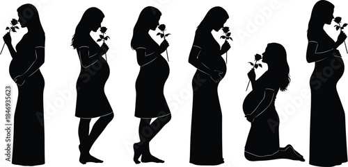 Pregnant woman silhouette with rose in elegant poses, black vector illustration for motherhood, maternity, beauty, love, life, art