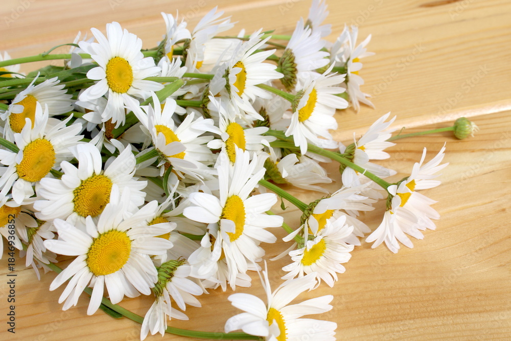Obraz premium Chamomile flowers lie on a wooden background.