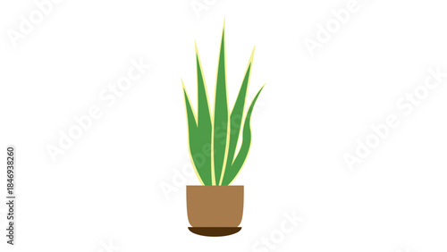 Vibrant green potted plant with long leaves in modern brown pot