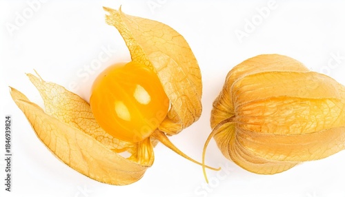 Physalis fruit with papery husks on white background