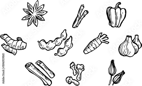 Collection of hand-drawn culinary spices and vegetables, including ginger, star anise, cinnamon sticks, bell pepper, carrots, edamame, cloves, and garlic, perfect for food-related designs and recipes