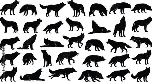 wolf, silhouette, pose, animal, standing, walking, running, sitting, lying, howling, sniffing, black, white, icon, illustration, vector, design, symbol, wildlife, nature