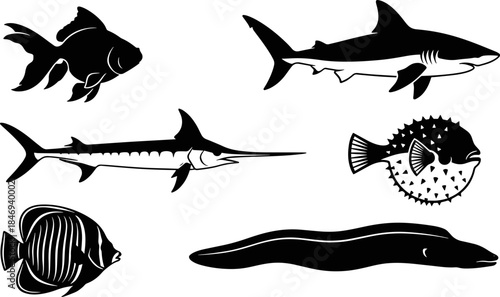 A collection of six ocean fish silhouette illustrations vector design