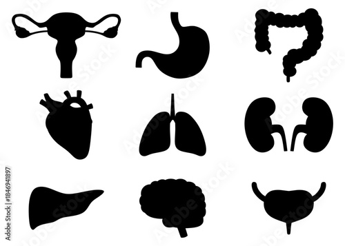 Human Internal Organs Silhouette Icon Set 