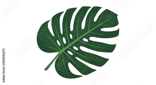 Bold monstera leaf silhouette on a clean white background intended for tropical decor branding and nature inspired graphic design projects and prints.