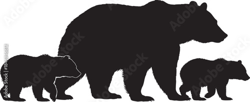 silhouette of a bear