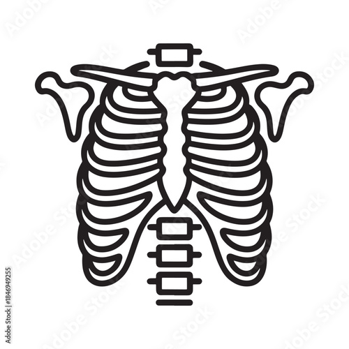 Anatomical illustration of a human ribcage and spinal column depicted in black lines