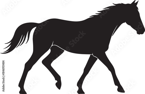 Black horse silhouette running or walking
