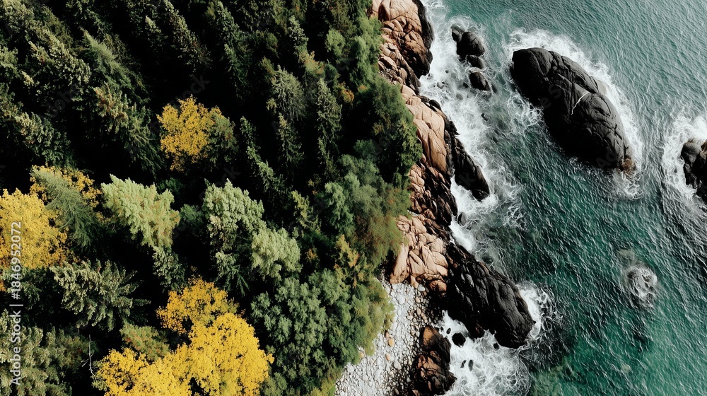 Fototapeta premium Trees meet water at a rocky coast in a forest landscape with changing seasons