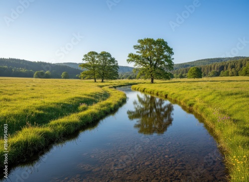 Serene Landscape of River Flowing Through Lush Green Meadow
