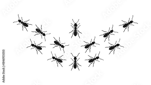 Red ant stands out from crowd of black ants in group