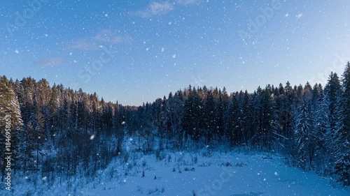 Winter Drone Flight Over Frozen Forest Lake with Snowfall