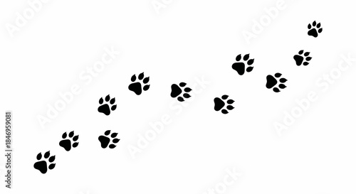 Black animal paw prints trail upwards on white background