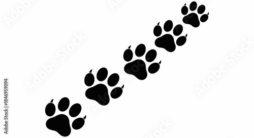 Black paw prints walking diagonally up