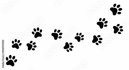 Black animal paw prints on white background