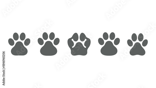 Set of animal paw prints in dark grey on white background