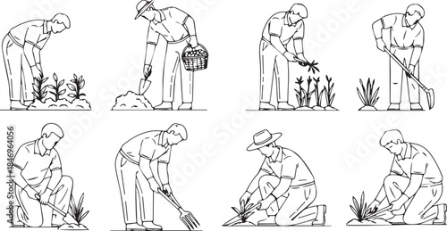 From Soil to Growth: The Discipline of Cultivation