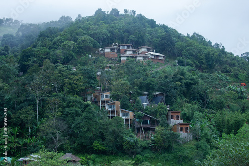 Agricultural Field, Asian Style Conical Hat, Beauty, Colors, Eco Tourism
