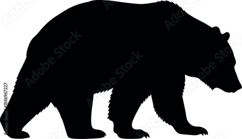 Black Bear Silhouette Vector Isolated on White Background