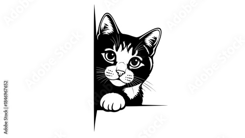 Curious Cat Peer Behind Corner, Black & White Flat Design