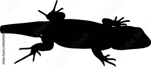 Lizard Silhouette Vector Isolated on White Background