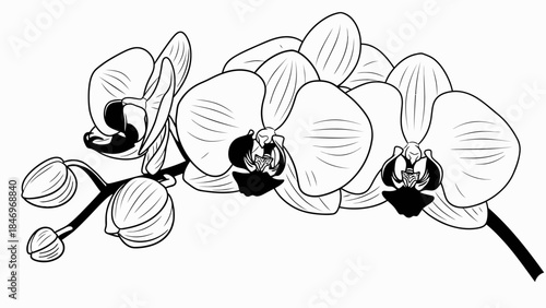 Scientist Conducting Experiment - B&W, High-Contrast