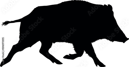 Wild Boar Silhouette Vector Isolated on White Background