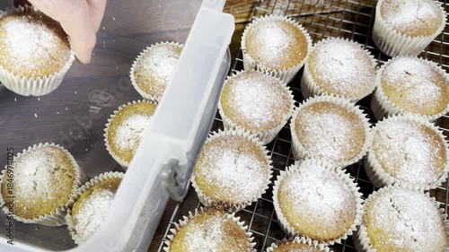 Closeup of a hand placing freshly baked, homemade, filled muffins in paper cases and coated in icing sugar, from the rows on a cooling rack, into a storage container box.