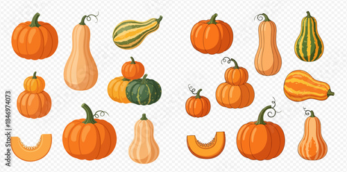 Autumn Harvest Collection of Various Pumpkins and Gourds for Thanksgiving and Halloween Decorations.