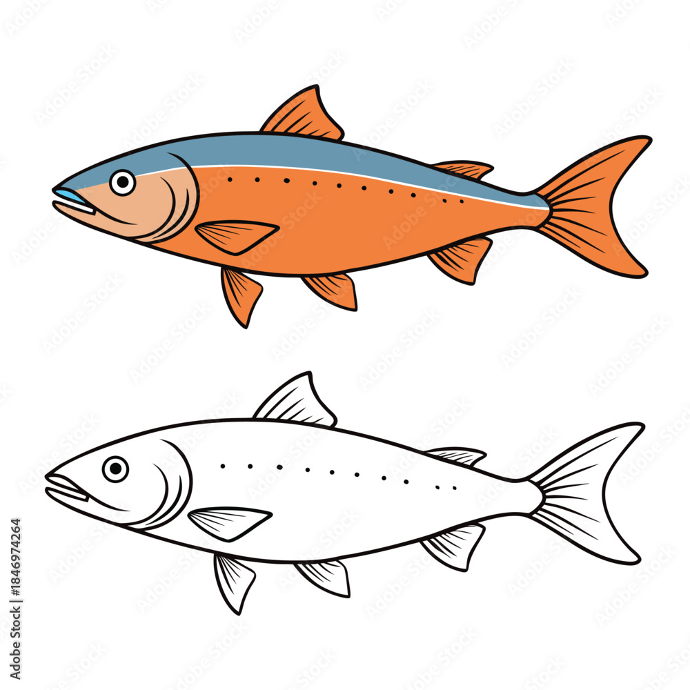 Fototapeta premium Detailed salmon coloring page featuring a graceful fish with flowing fins, textured scales, and gentle river waves. Clean outlines inspire creativity, perfect for kids and adults to color. 