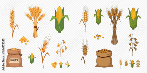 Set of various grain crops including wheat, corn, and oats with sacks of seeds.