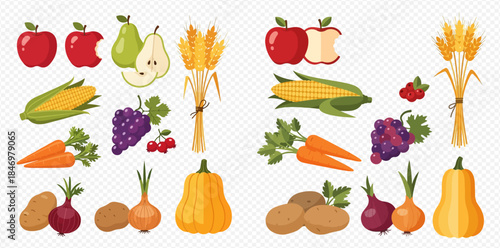 Colorful autumn harvest collection of fresh fruits and vegetables, including apples, pears, corn, grapes, carrots, potatoes, onions, pumpkins, and wheat stalks, on a transparent background.