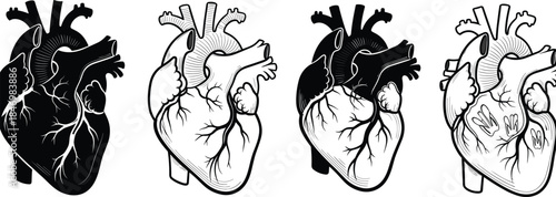 Human heart anatomy vector illustration set, hand drawn medical organ sketches, black and white anatomical heart design collection