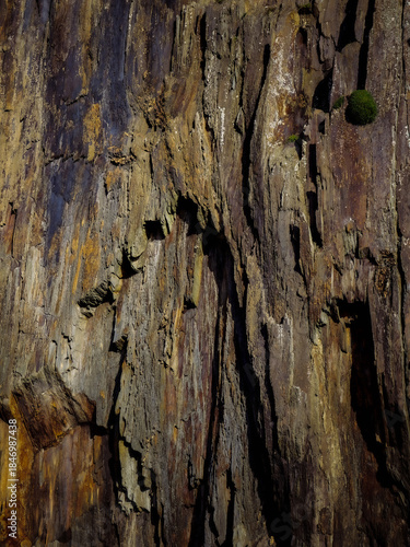 A geological symphony in stone, where layers tell tales of ancient pressures and elemental forces. A natural wonder in close-up.